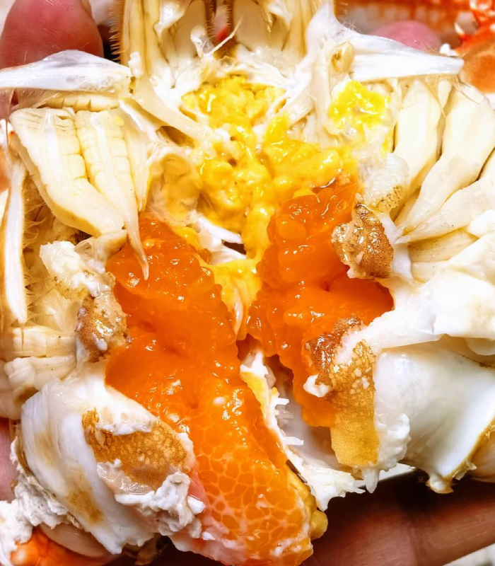 Bursting with Rich, Creamy Roe and Tomalley